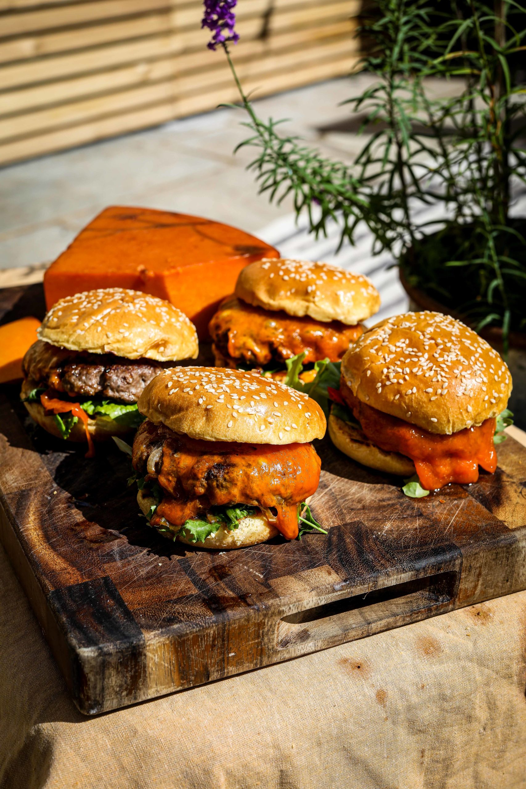 Dorset Red Cheeseburger