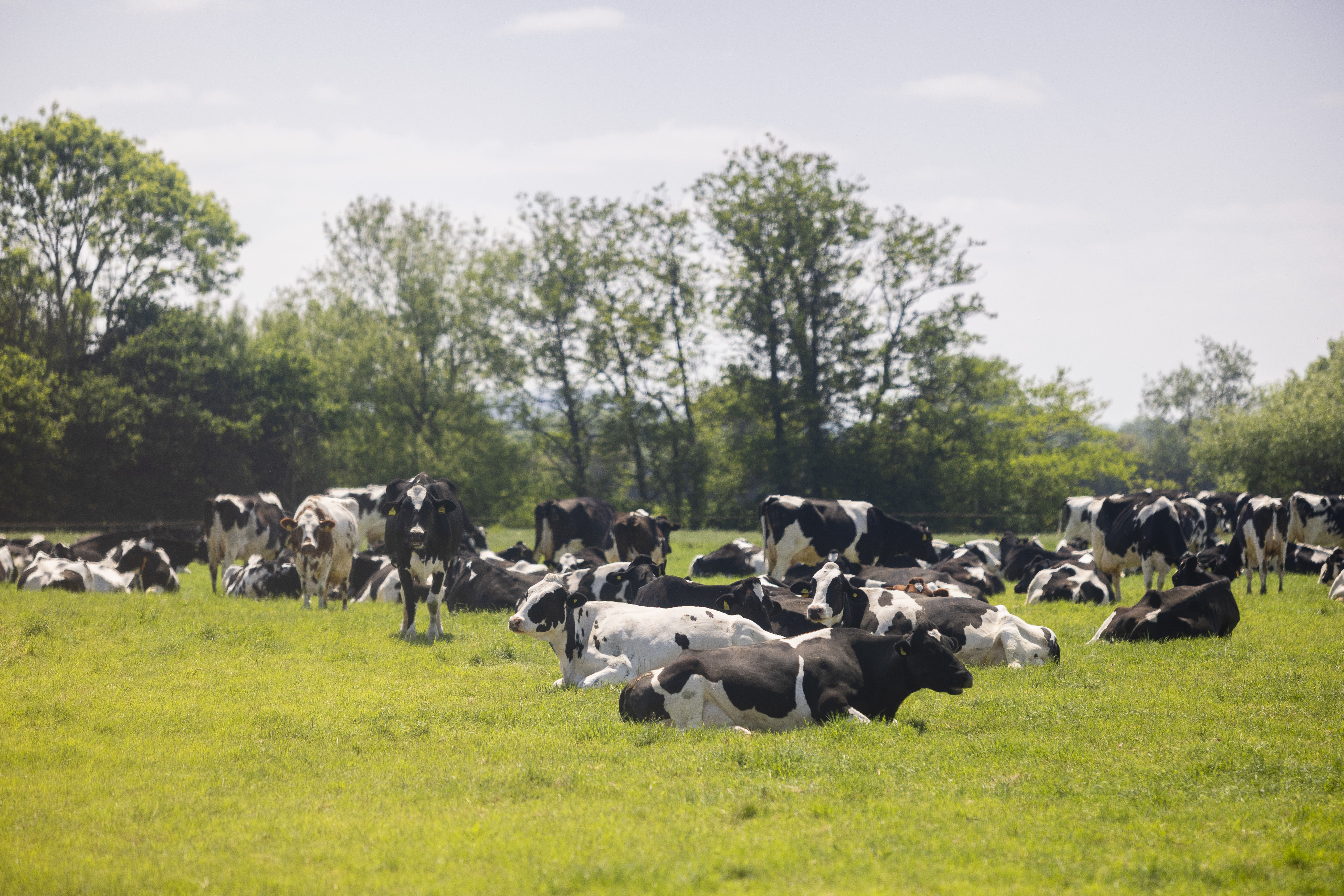 From Field to Fridge